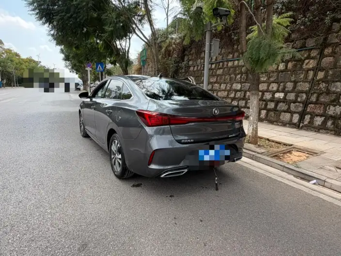 Changan Eado 2023 Model PLUS Changxiang Edition Blue whale NE 1.4T GDI DCT Noble Model