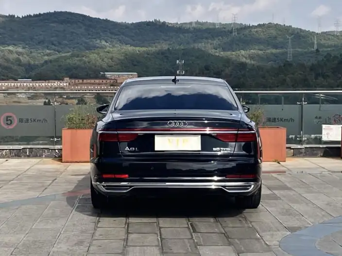 Audi A8 2022 Model A8L 50 TFSI quattro Comfort Model Collector Edition Edition – фото 6