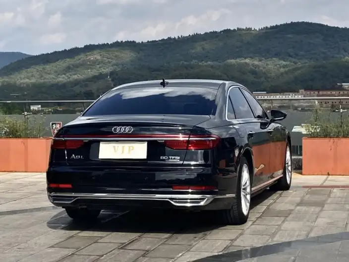 Audi A8 2022 Model A8L 50 TFSI quattro Comfort Model Collector Edition Edition – фото 7