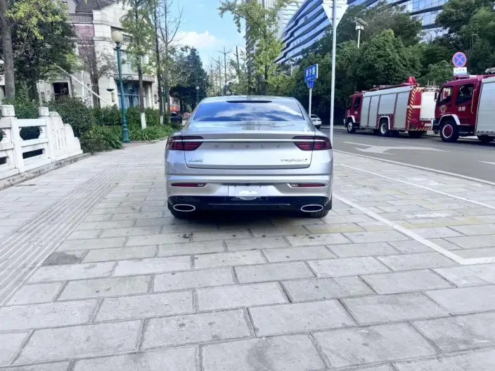 Geely StarRui 2023 Model 2.0T Noble Model – фото 5