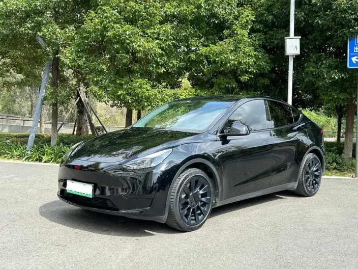 Model Y 2022 Model Facelift Rear-wheel drive version