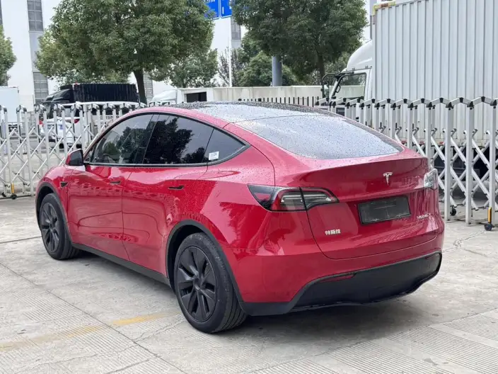 Model Y 2023 Model Rear-wheel drive version – фото 5