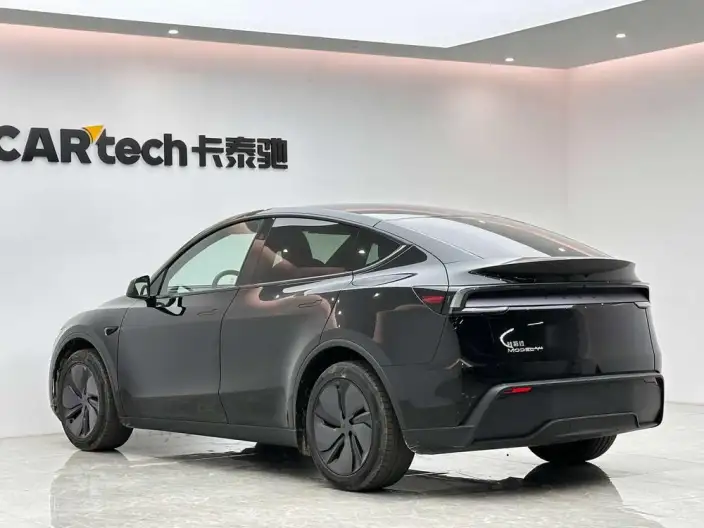 Model Y 2026 Model Long Battery Life Pro Rear-wheel drive version – фото 5