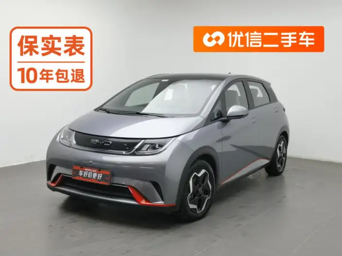 BYD Dolphin 2021 Model Fashion Edition