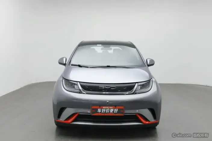 BYD Dolphin 2021 Model Fashion Edition