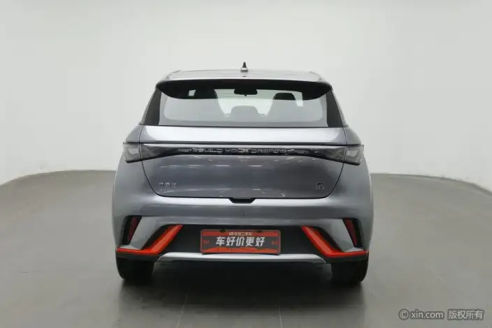 BYD Dolphin 2021 Model Fashion Edition