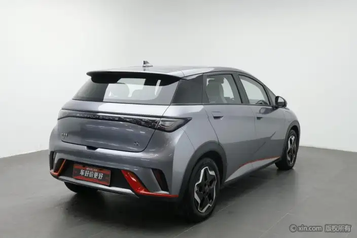 BYD Dolphin 2021 Model Fashion Edition