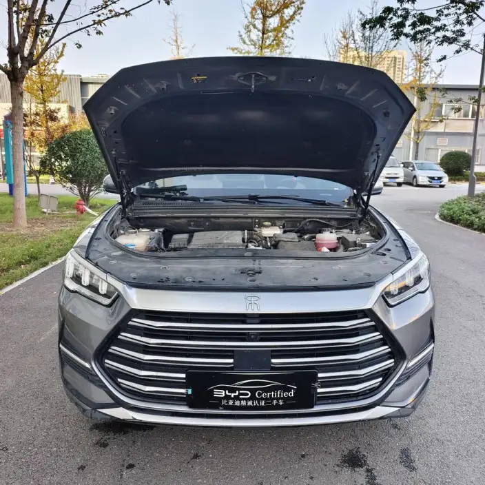 BYD Song Pro DM 2022 Model DM-i 110km Flagship Model – фото 6