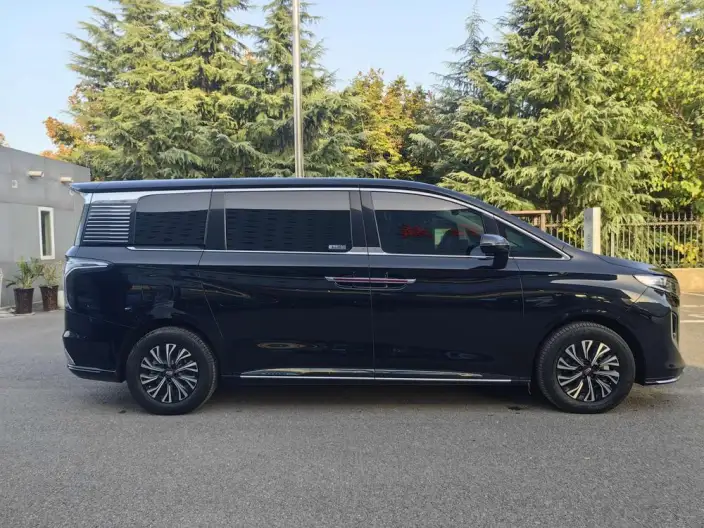 HONGQI HQ9 PHEV 2024 Model 4WD Business Edition – фото 8