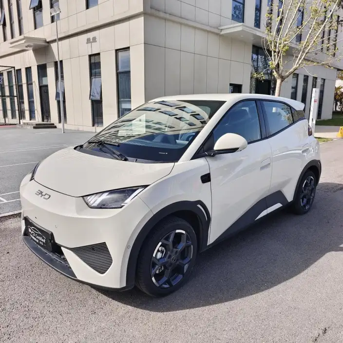 BYD Seagull 2025 Model Smart Driving Edition 305KM Free Edition