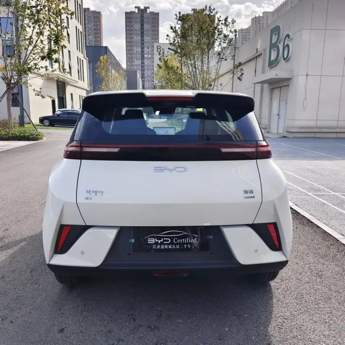 BYD Seagull 2025 Model Smart Driving Edition 305KM Free Edition – фото 5