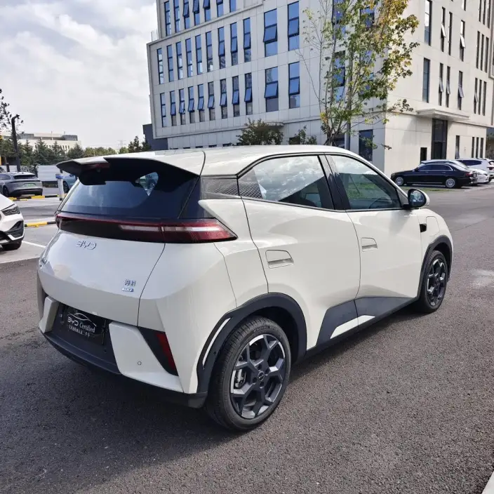 BYD Seagull 2025 Model Smart Driving Edition 305KM Free Edition – фото 6