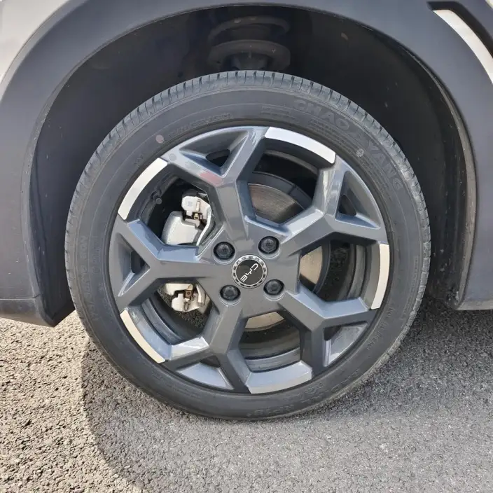 BYD Seagull 2025 Model Smart Driving Edition 305KM Free Edition – фото 7