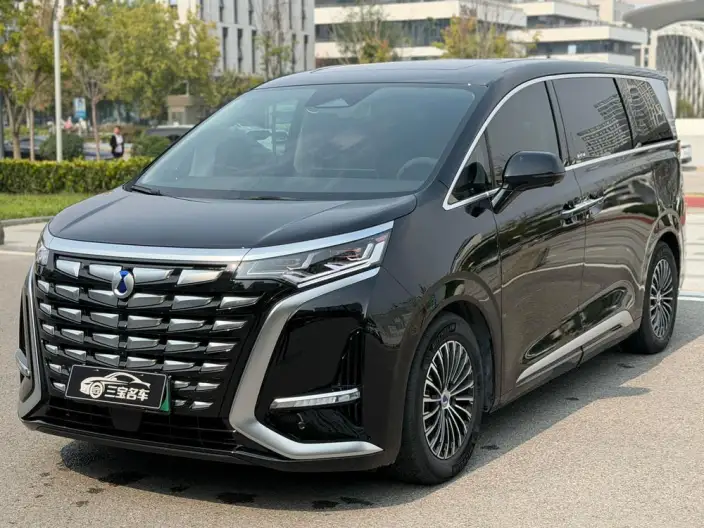 DENZA D9 DM 2024 Model 970 Luxury Model