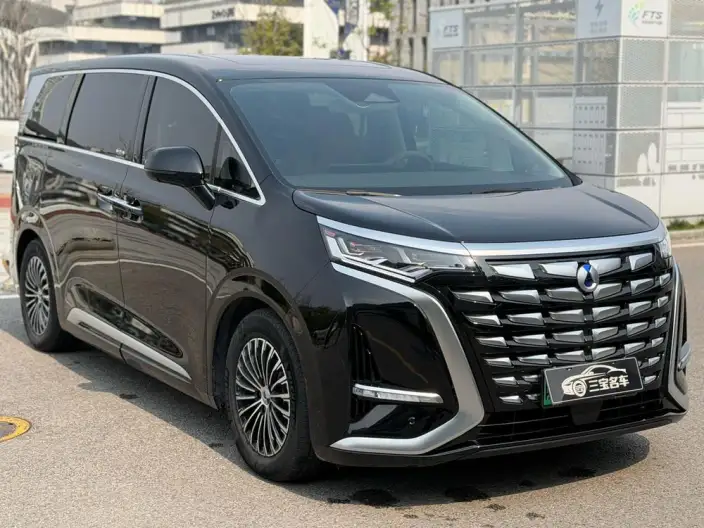 DENZA D9 DM 2024 Model 970 Luxury Model