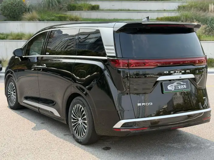 DENZA D9 DM 2024 Model 970 Luxury Model – фото 5