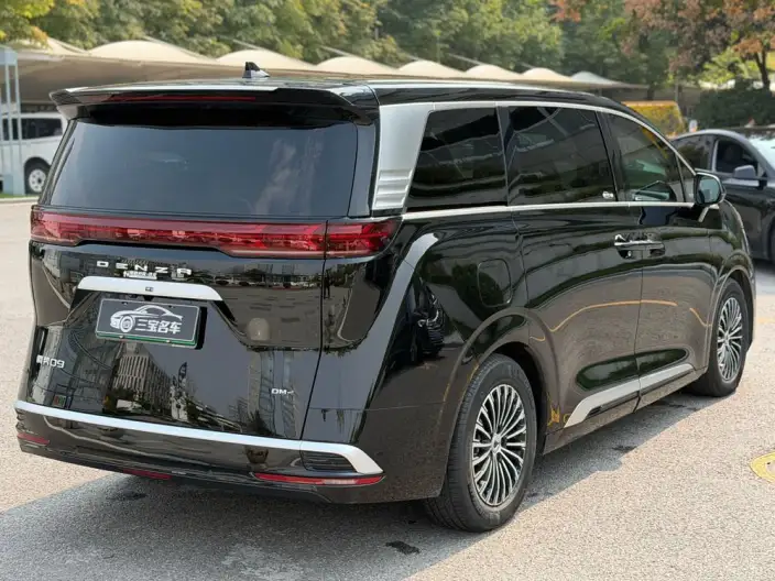 DENZA D9 DM 2024 Model 970 Luxury Model – фото 7