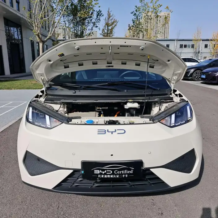 BYD Seagull 2026 Model Free Edition