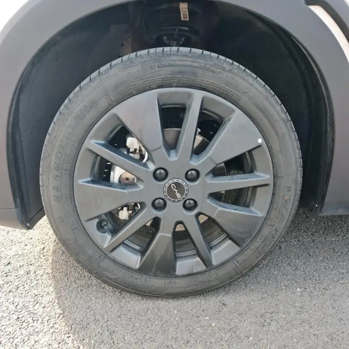 BYD Seagull 2026 Model Free Edition – фото 6