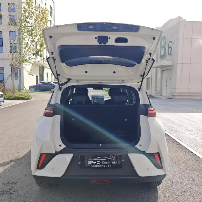 BYD Seagull 2026 Model Free Edition – фото 8