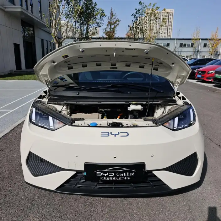 BYD Seagull 2026 Model Free Edition
