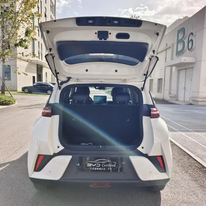 BYD Seagull 2026 Model Free Edition – фото 6