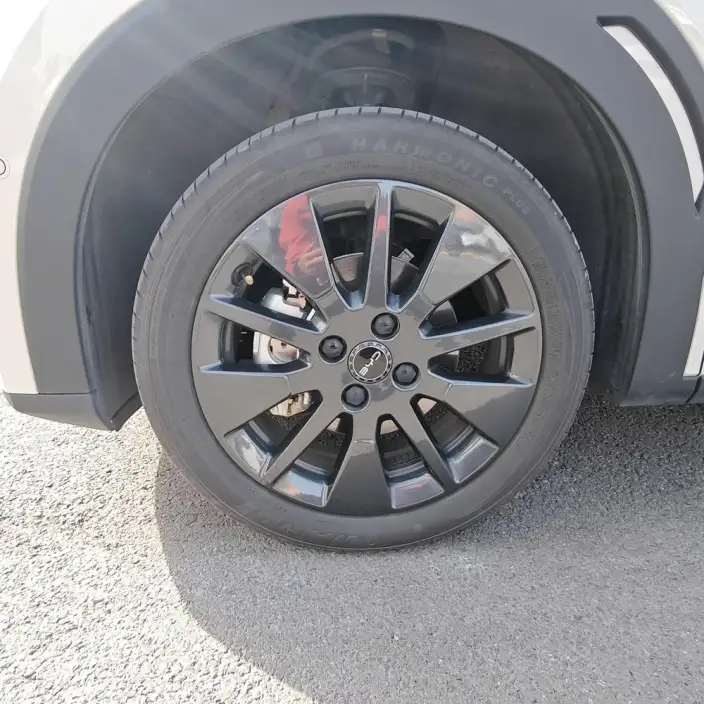 BYD Seagull 2026 Model Free Edition – фото 7