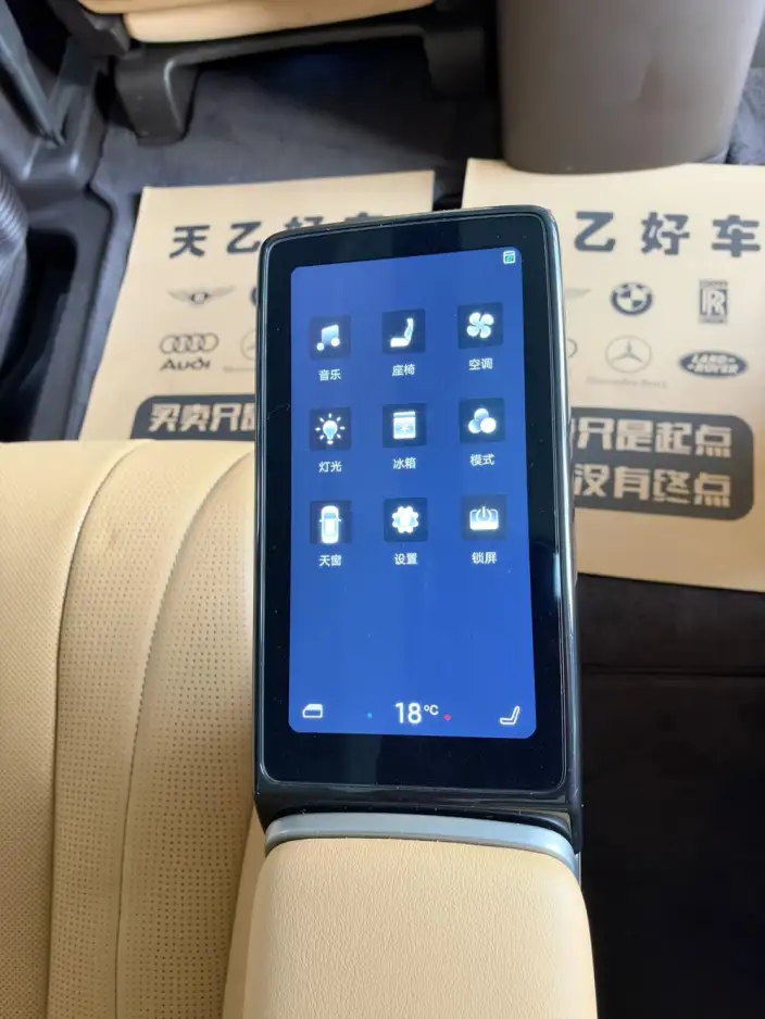 DENZA D9 DM 2024 Model 1050 Exclusive Model – фото 10