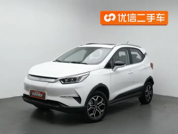 Yuan Pro 2021 Model 401KM Noble Model
