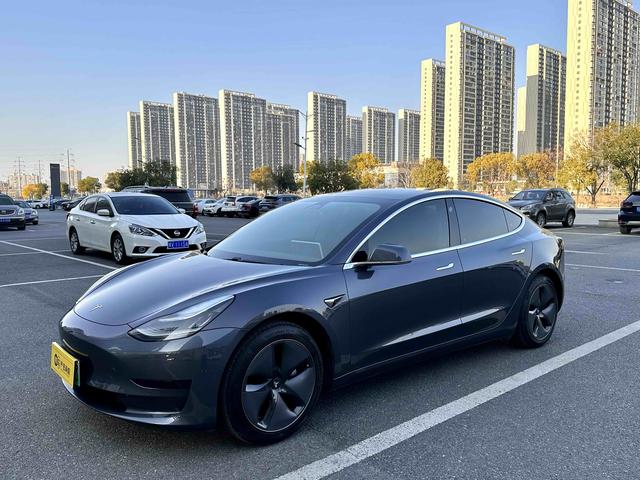 Tesla Model 3 2019 Standard Range RWD Upgrade – фото 1