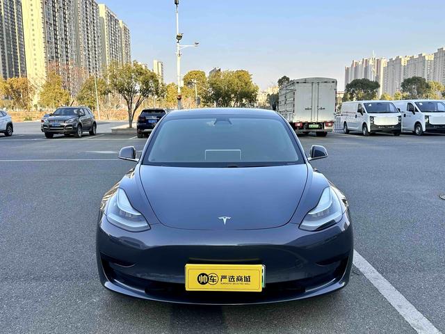 Tesla Model 3 2019 Standard Range RWD Upgrade – фото 2