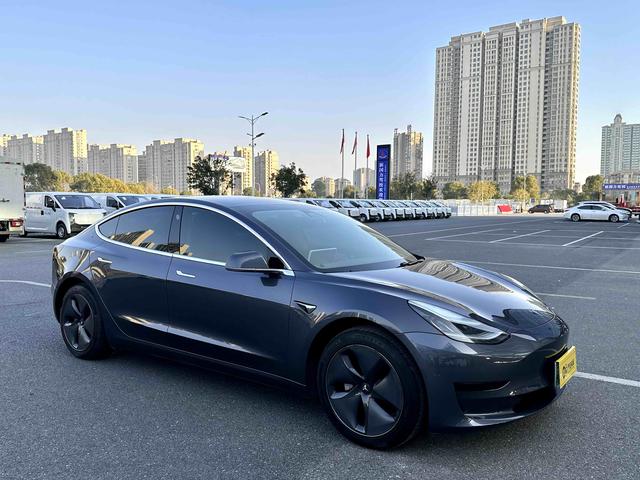 Tesla Model 3 2019 Standard Range RWD Upgrade – фото 3
