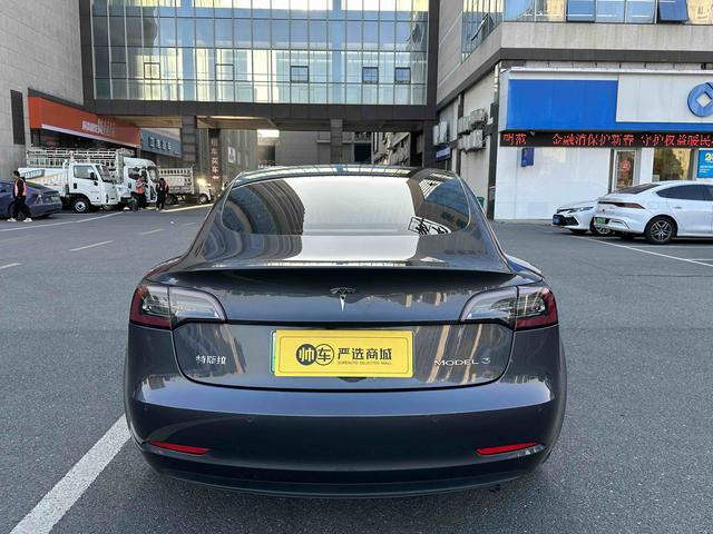 Tesla Model 3 2019 Standard Range RWD Upgrade – фото 5