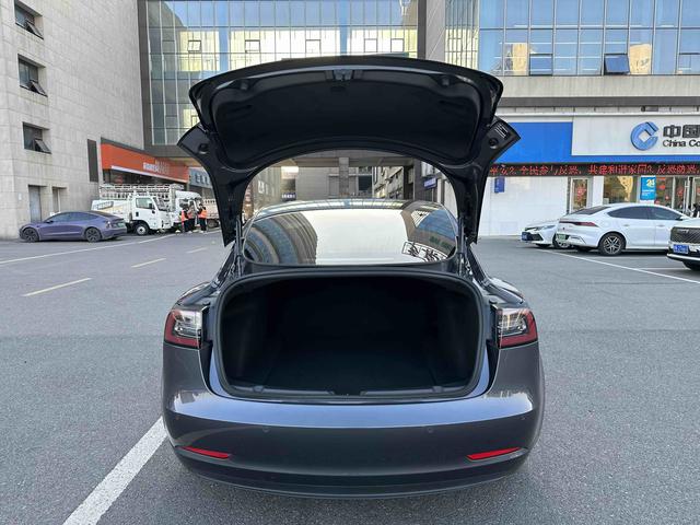Tesla Model 3 2019 Standard Range RWD Upgrade – фото 7