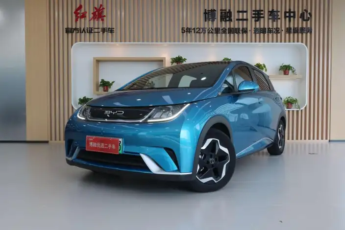 BYD Dolphin 2021 Model Fashion Edition