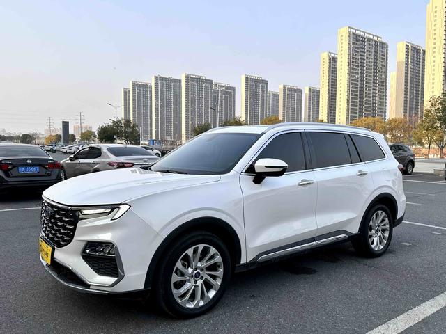 Lingyu Модель 2021 года EcoBoost 225 5 seat Platinum – фото 1