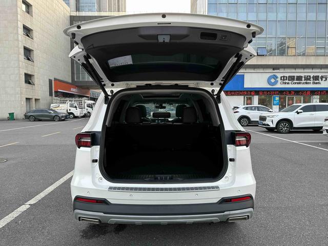 Lingyu Модель 2021 года EcoBoost 225 5 seat Platinum – фото 8