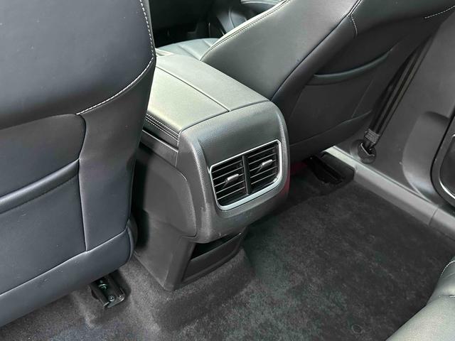 Lingyu Модель 2021 года EcoBoost 225 5 seat Platinum – фото 10