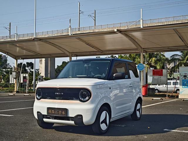 Geely Panda 2023 200km Panda Mini Agile Bear – фото 1