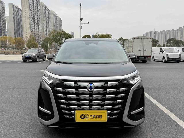 Denza D9 DM 2024 980 AWD Flagship – фото 2