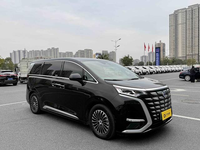 Denza D9 DM 2024 980 AWD Flagship – фото 3