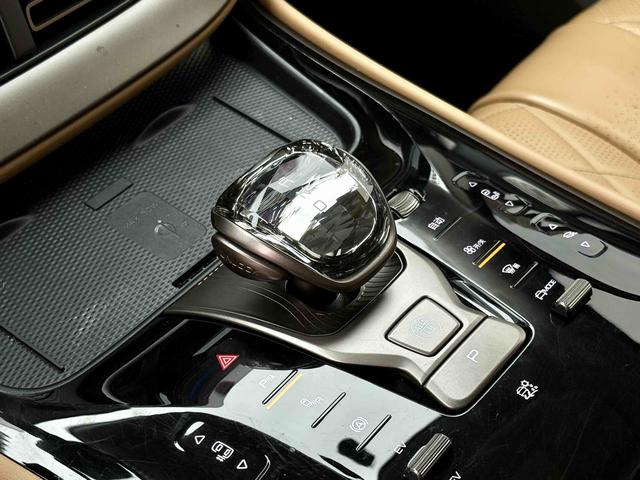 Denza D9 DM 2024 980 AWD Flagship – фото 16
