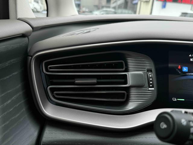 Denza D9 DM 2024 980 AWD Flagship – фото 20