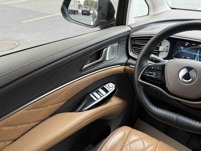 Denza D9 DM 2024 980 AWD Flagship – фото 21