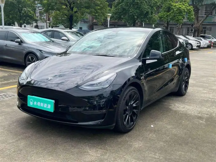Model Y 2022 Model Long Battery Life Pro All-wheel drive version