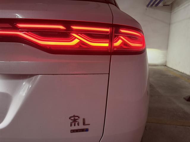 BYD Seagull 2024 Glory 305KM Freedom – фото 14