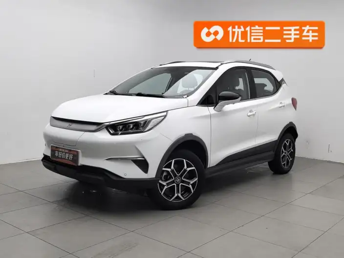 Yuan Pro 2021 Model 401KM Noble Model