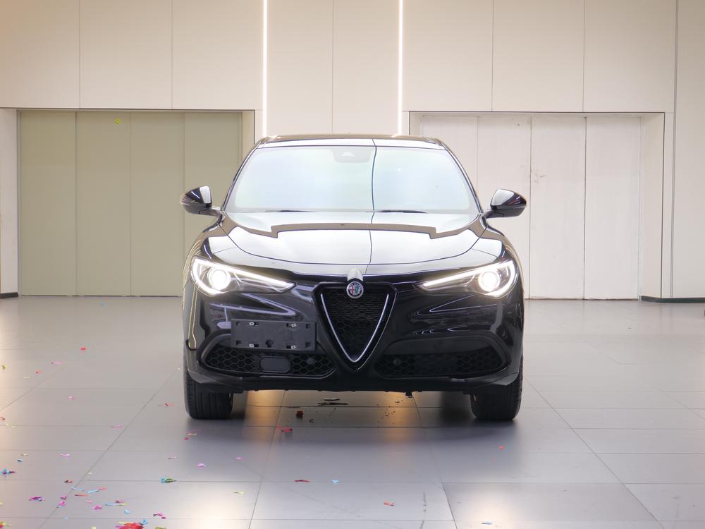 Alfa Romeo Stelvio 2021 2.0T 280HP Luxury Edition