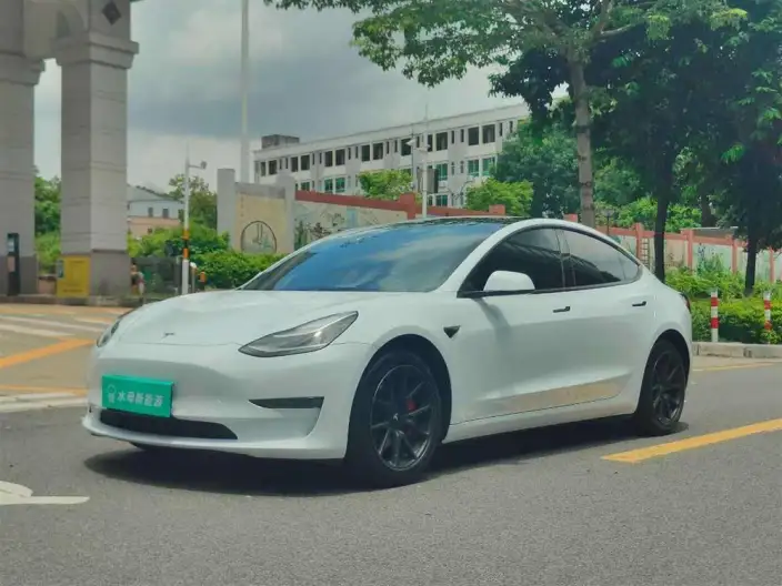 Model 3 2020 Model Facelift Long Battery Life Pro Rear-wheel drive version