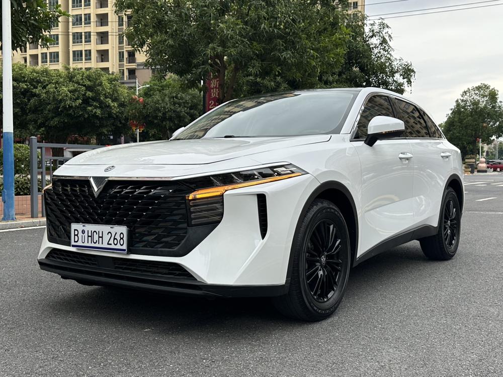 Venucia Big V 2022 260T King Edition